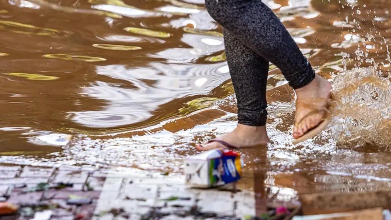 enchentes e riscos de leptospirose em porto alegre