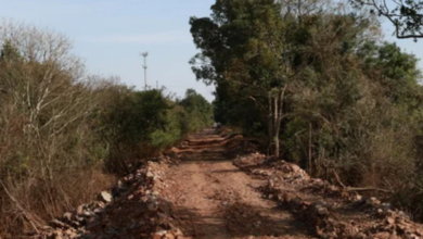 estrago gerado pelas chuvas em dique no sarandi em porto alegre