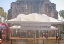 feira de animais redenção pós enchentes