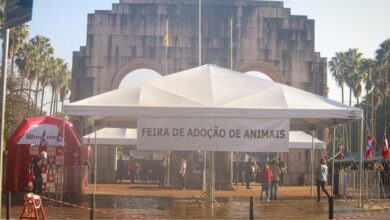 feira de animais redenção pós enchentes