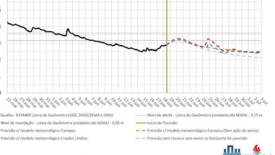 gráfico de cheias do guaiba