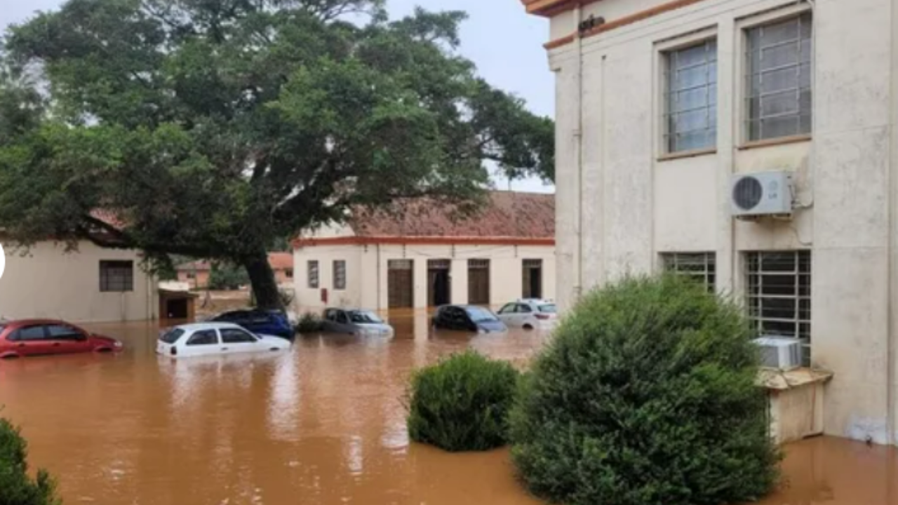 Instituto Finamor alagado pelas enchentes