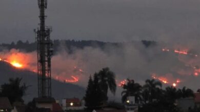 Morro Santana com incêndio em Porto Alegre