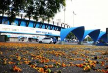 estadio olimpico gremio