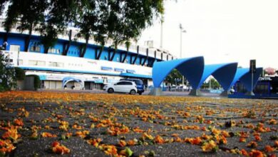 estadio olimpico gremio