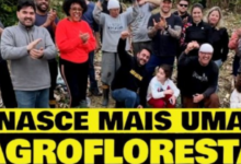 iniciativa de agrofloresta porto alegre