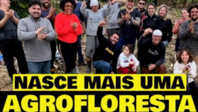 iniciativa de agrofloresta porto alegre