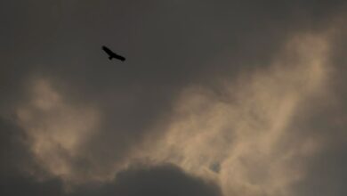 Céu cinza e sol alaranjado: Porto Alegre enfrenta fumaça de queimadas e riscos à saúde